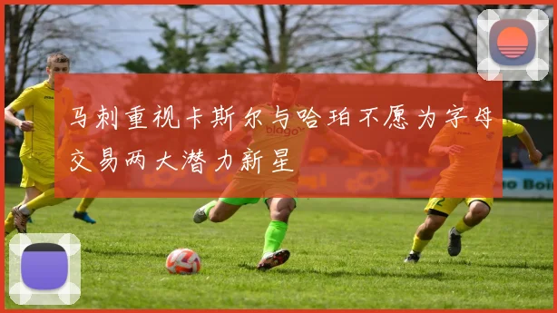 马刺重视卡斯尔与哈珀不愿为字母交易两大潜力新星