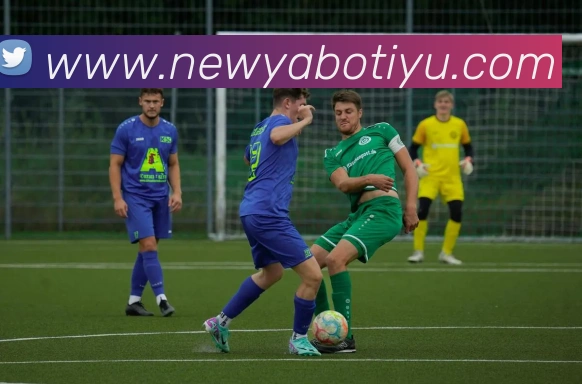 亚博体育平台生态图